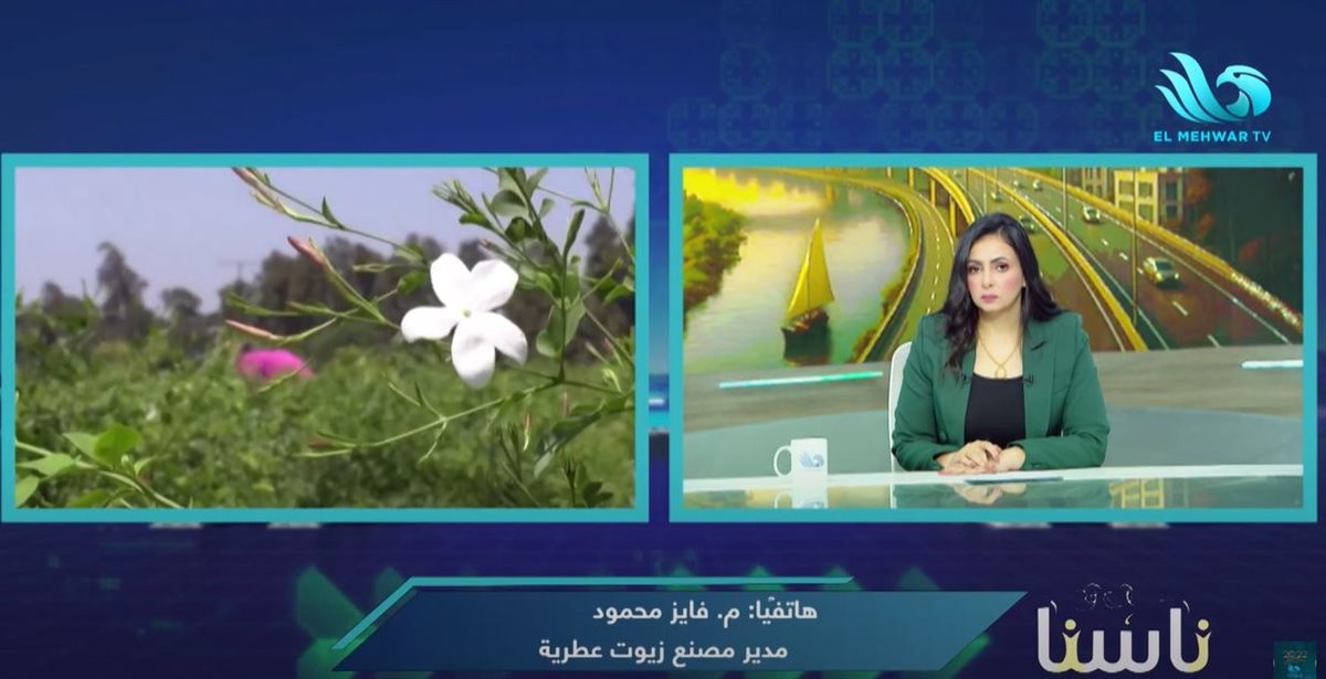 المهندس فايز محمود