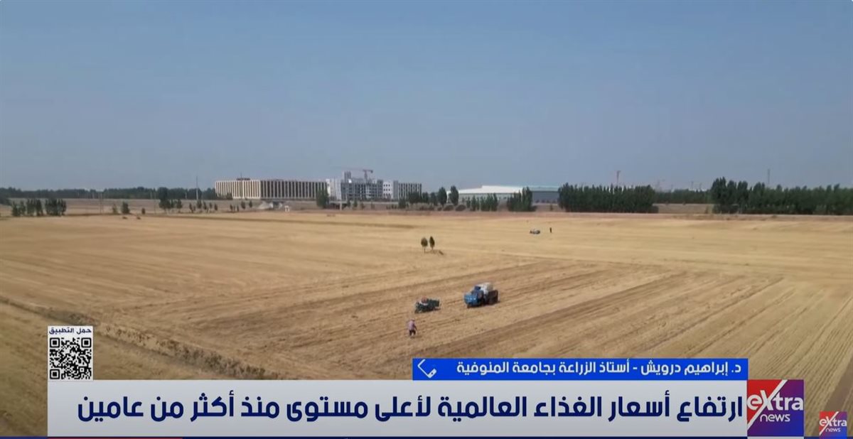 الدكتور إبراهيم درويش 