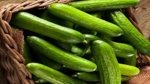 الخضار الأخضر