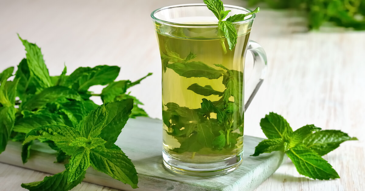 فوائد النعناع