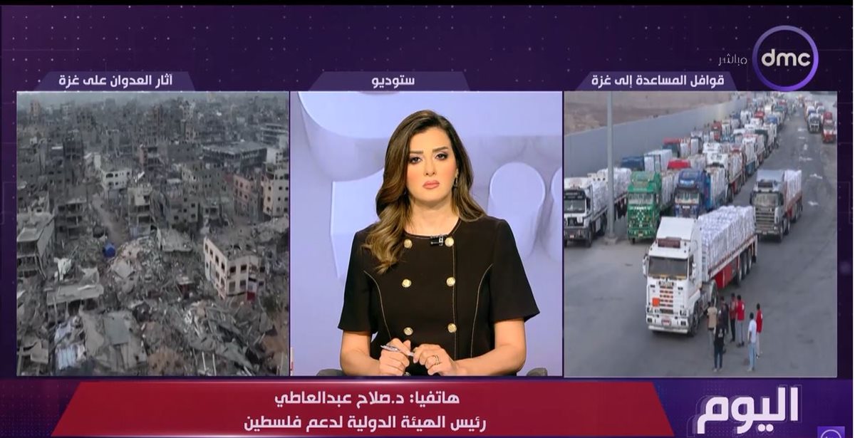الدكتور صلاح عبد العاطي 