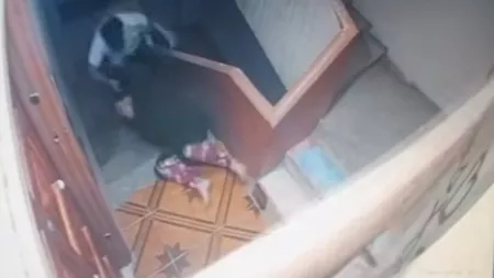 سحل سيدة الشرقية
