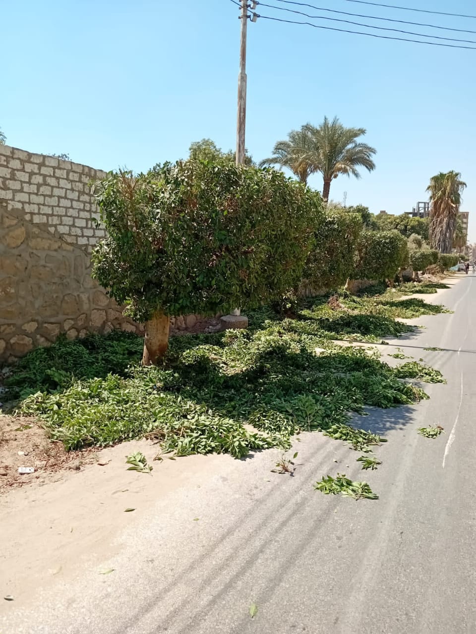 رئيس مركز ابشواى: تكثيف اعمال منظومة النظافة بمحيط المدارس والمصالح الحكومية 