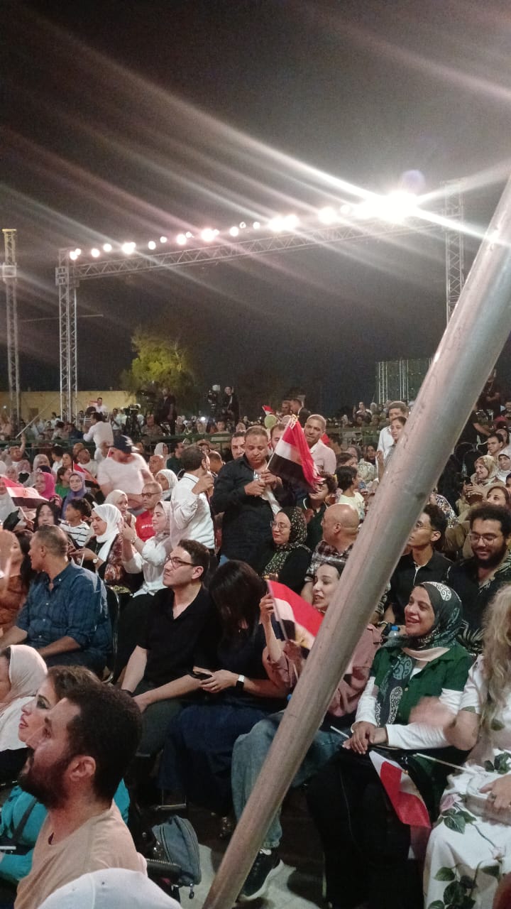 حفل علي الحجار في مهرجان القلعة