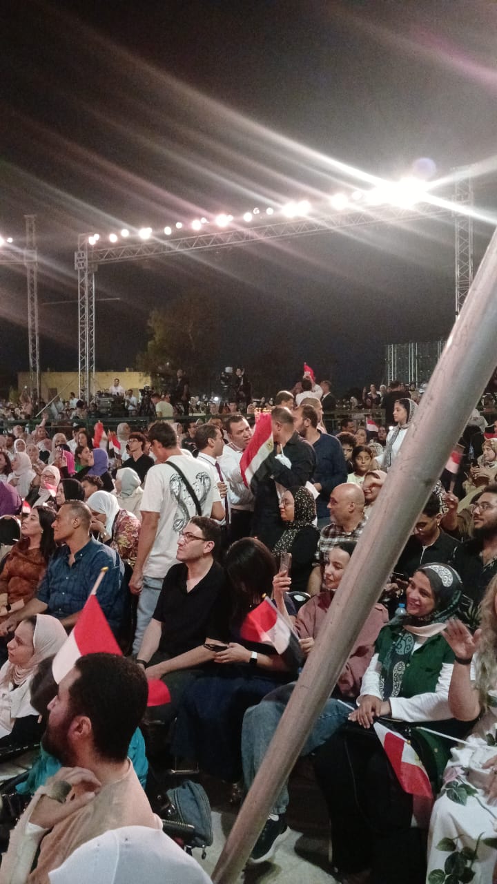 حفل علي الحجار في مهرجان القلعة