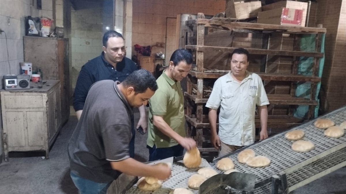 ضبط 51 كيلو زيت طعام و350 عبوة سلع غذائية مختلفة الأصناف منتهية الصلاحية بالفيوم