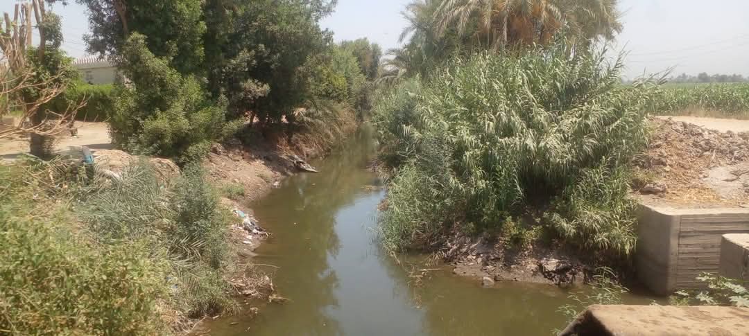 أهالي أبو تشت