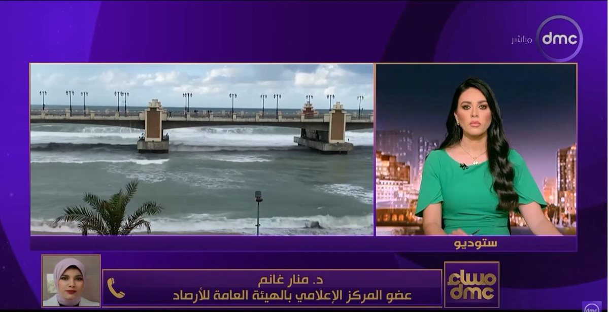 <strong>الدكتور منار غانم</strong>
