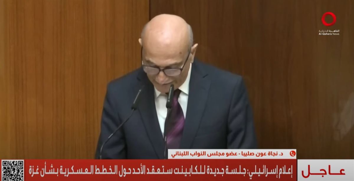 <strong>الدكتورة نجاة عون صليبا</strong>