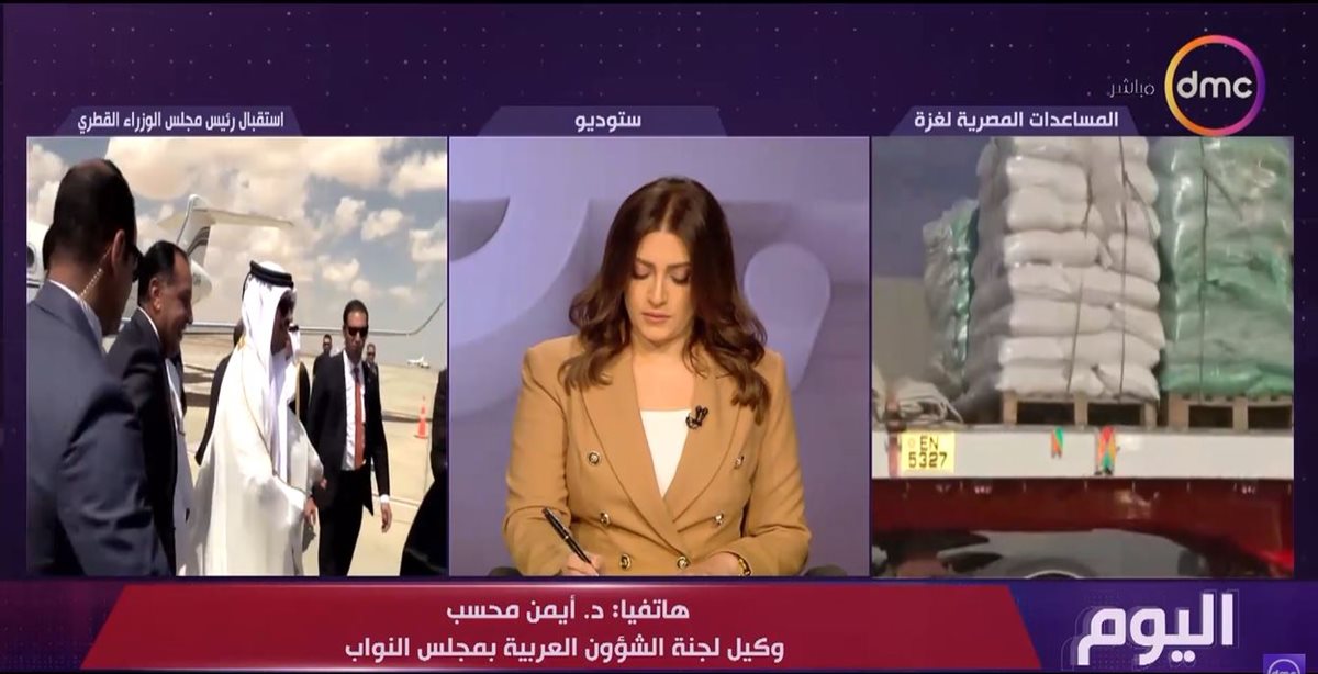 <strong>الدكتور أيمن محسب</strong>