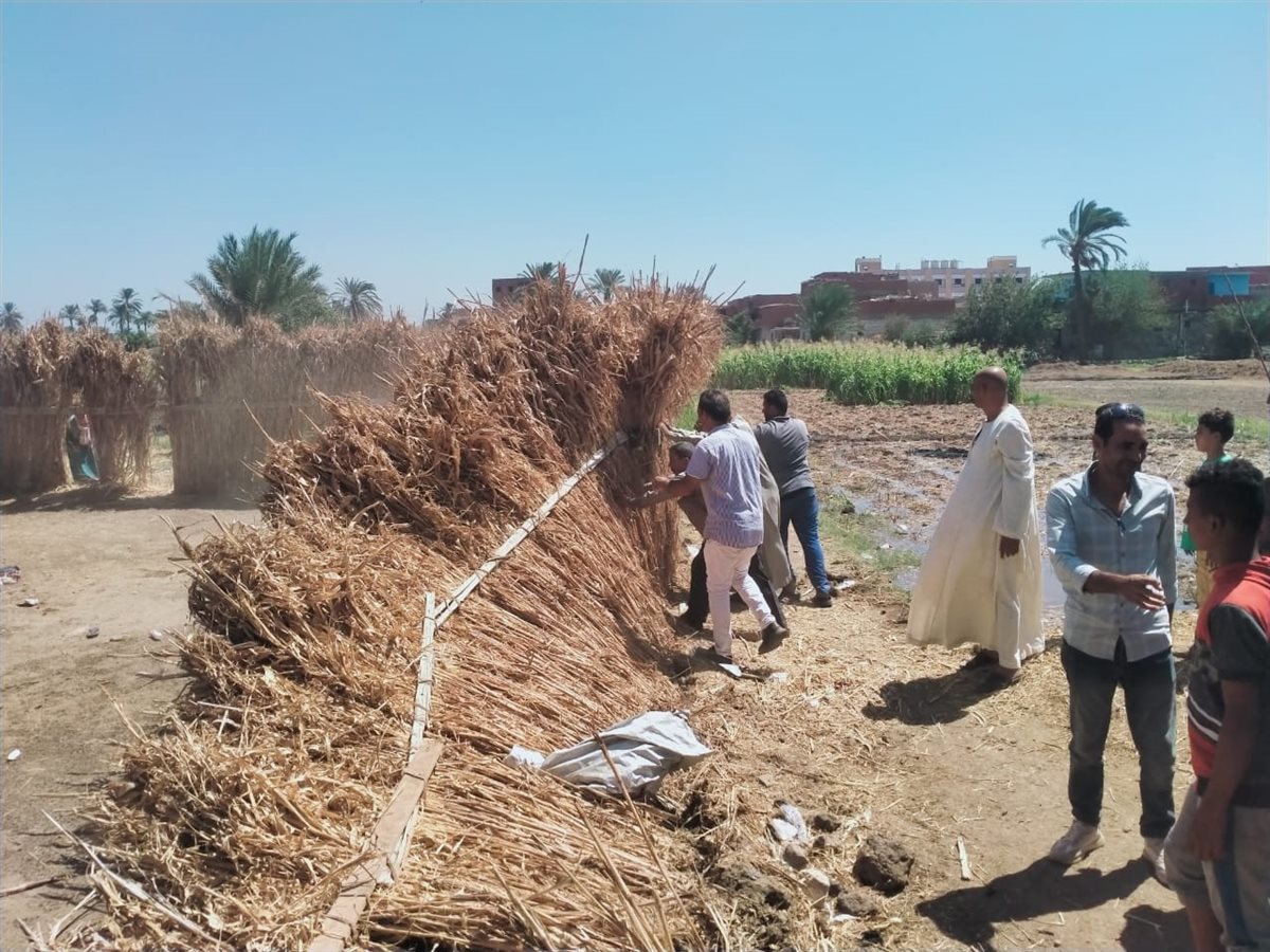 رئيس مركز ابشواى: ٣٤ حالة إزالة لتعديات على الأراضي الزراعية بحملة مكبرة <br>