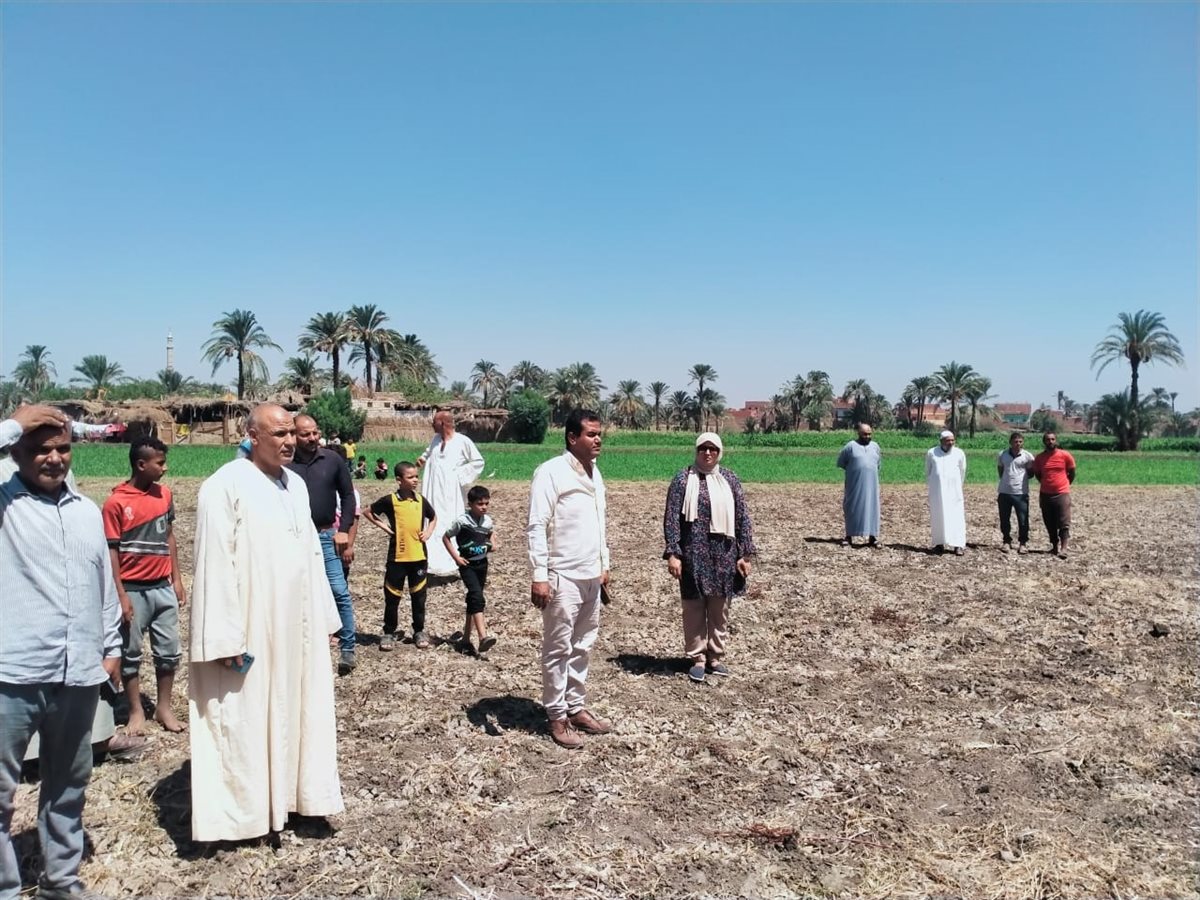 رئيس مركز ابشواى: ٣٤ حالة إزالة لتعديات على الأراضي الزراعية بحملة مكبرة <br>