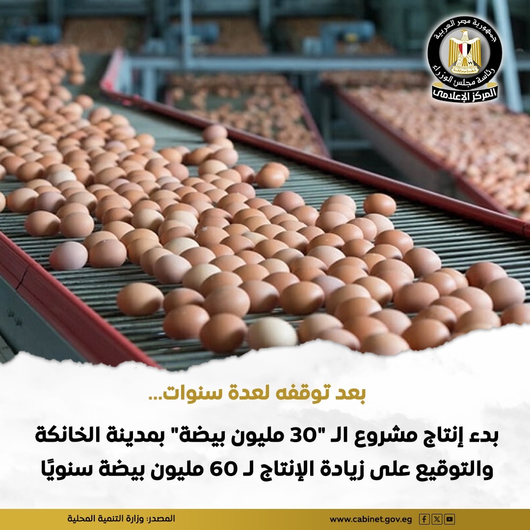 مشروع إنتاج البيض