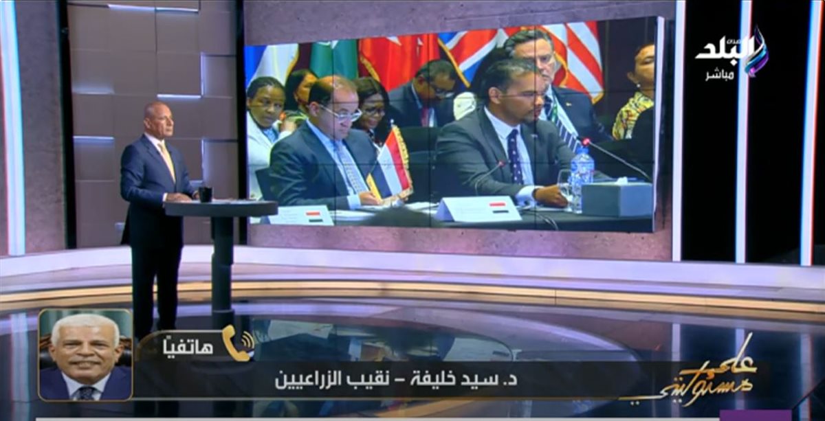 <strong>الدكتور سيد خليفة </strong>
