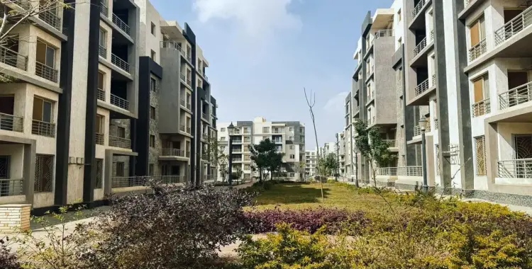 مشروع أراضي مسكن 6