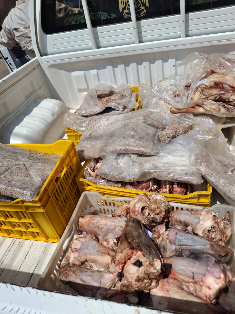 ضبط طن دقيق بلدي محظور بيعه أو تداوله ولحوم فاسدة وغير صالحة للاستهلاك الآدمي بالفيوم 