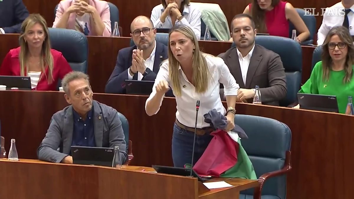 النائبة الإسبانية مار إسبينار رافعة العلم الفلسطيني داخل البرلمان