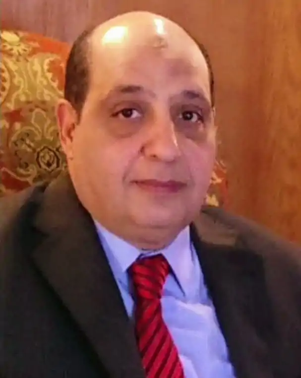 اللواء عمرو الزيات خبير أمني