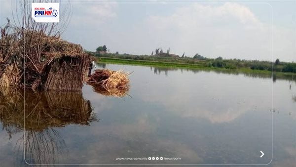 ارتفاع منسوب النيل في المنوفية 
