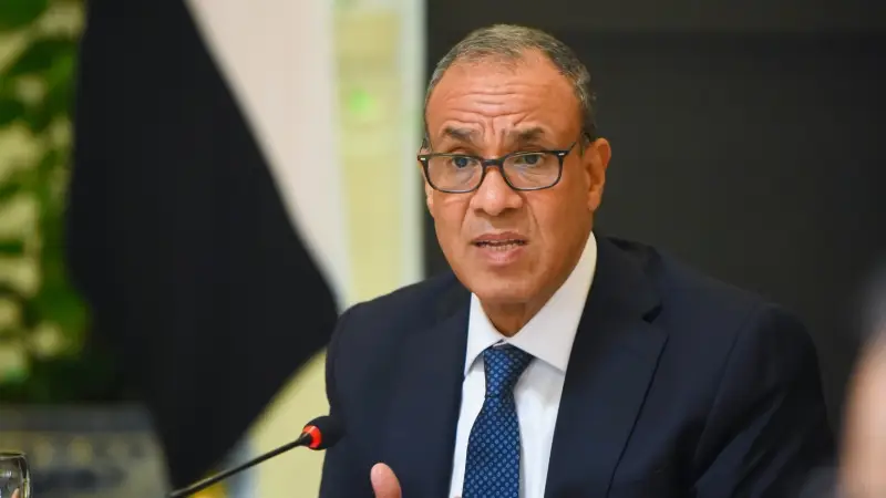 <strong>بدر عبد العاطي، وزير الخارجية</strong>