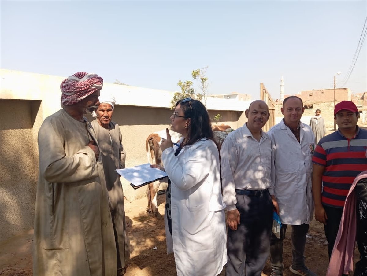 تحصين 25795 رأس ماشية ضد أمراض الحمى القلاعية والوادي المتصدع والجلد العقدي<br>