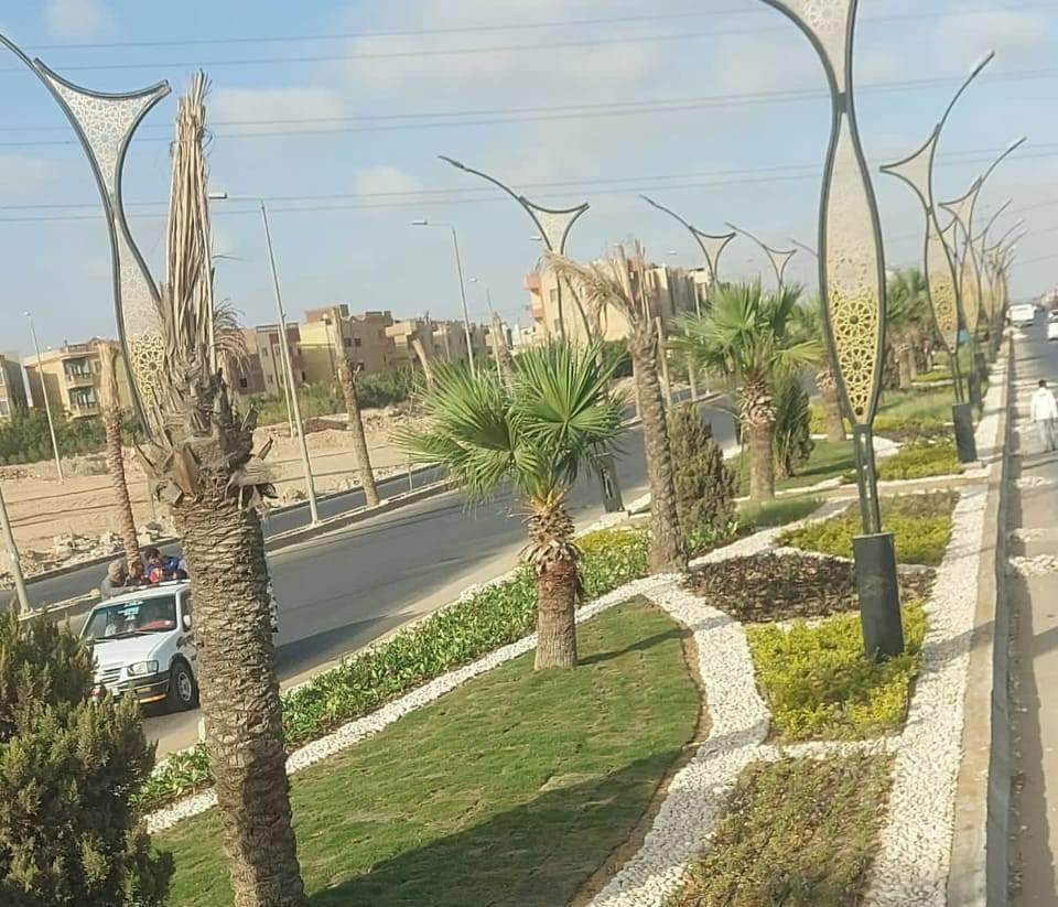 <strong>شارع زويل</strong>