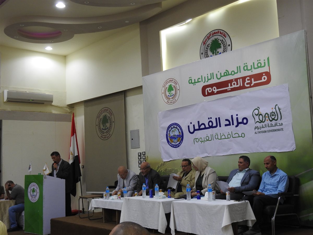 المزاد الثالث للقطن علي مستوي الجمهورية بالفيوم