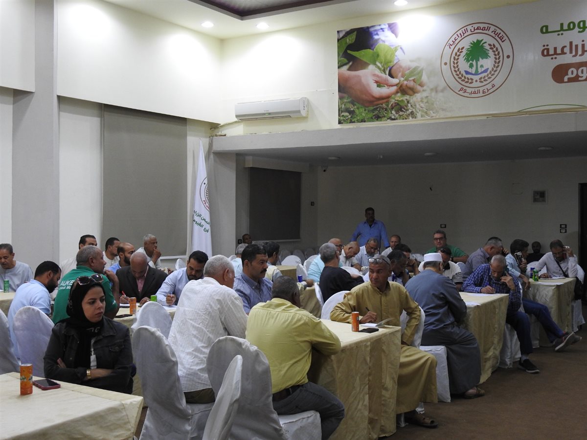 المزاد الثالث للقطن علي مستوي الجمهورية بالفيوم