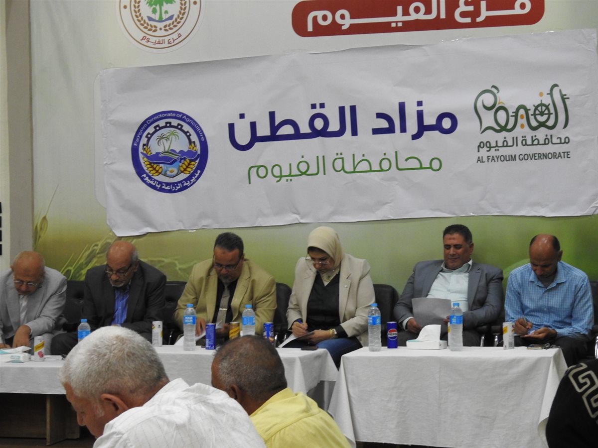 المزاد الثالث للقطن علي مستوي الجمهورية بالفيوم