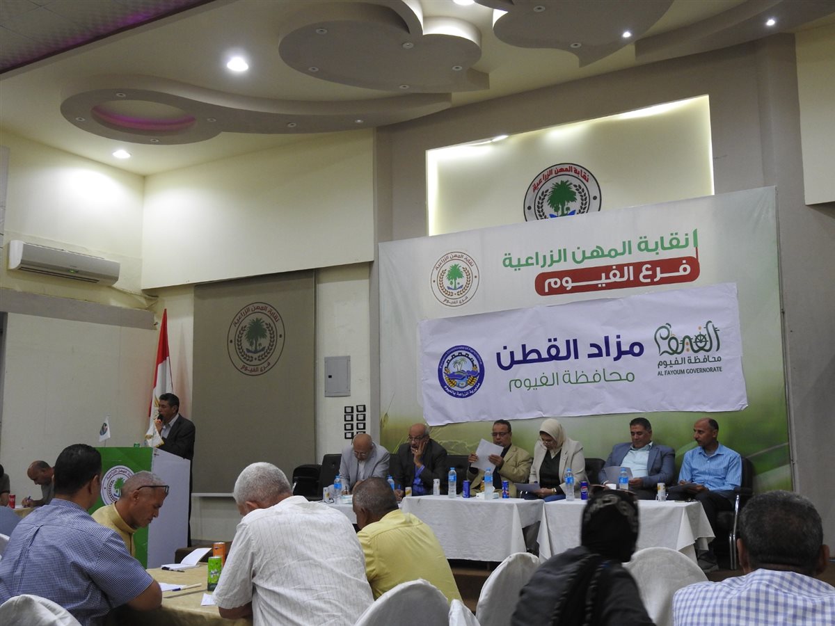 المزاد الثالث للقطن علي مستوي الجمهورية بالفيوم