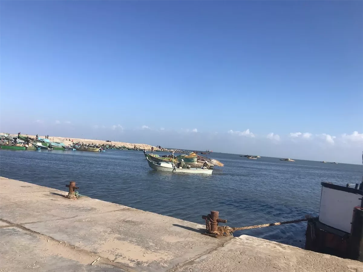 بحيرة البردويل