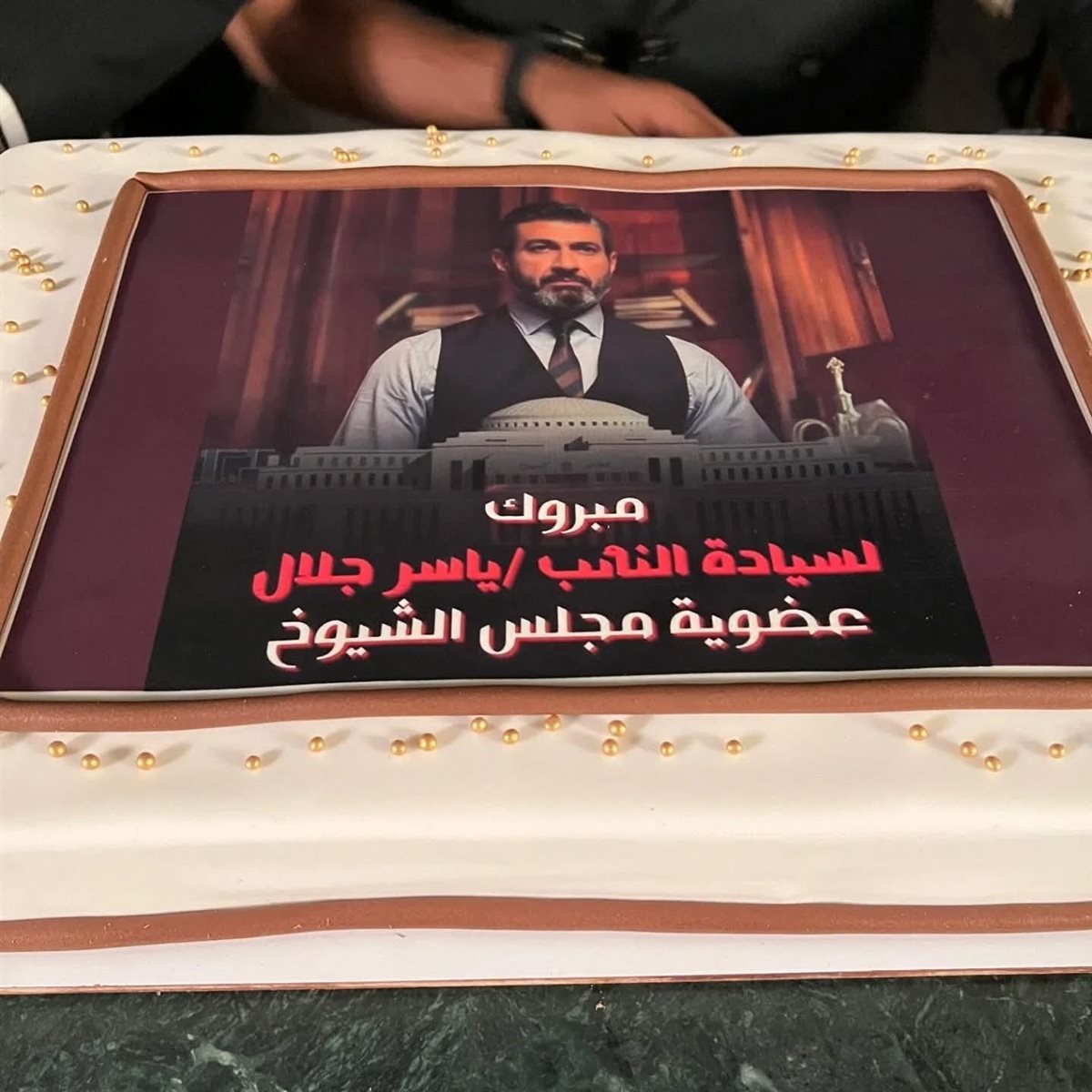 احتفال الفنان ياسر جلال عضو مجلس الشيوخ