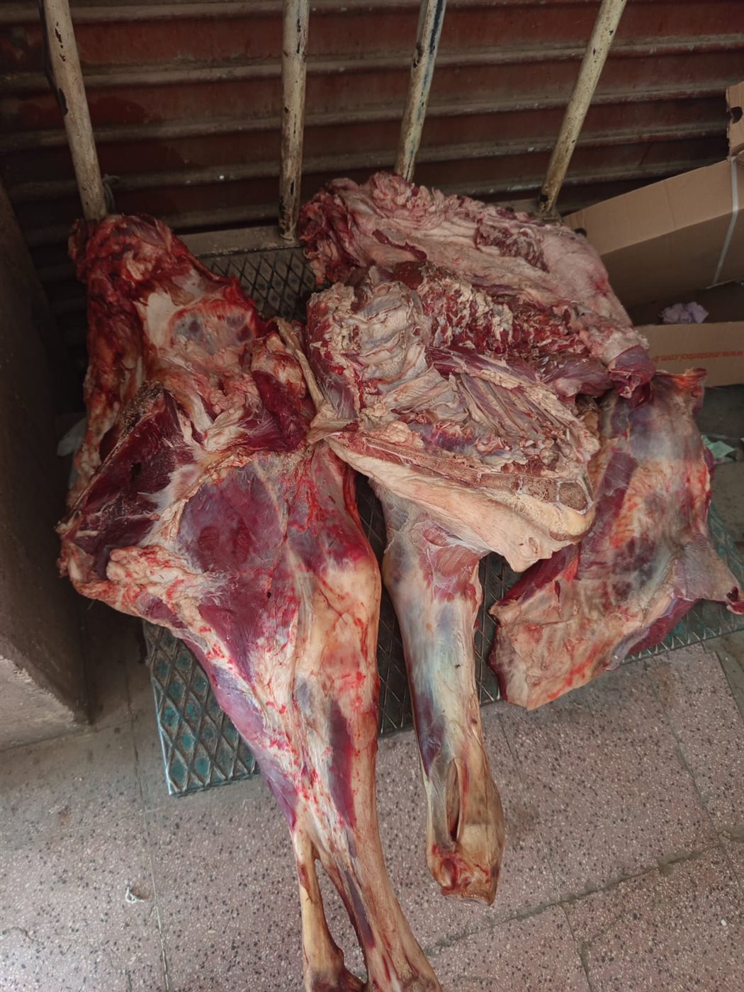 ضبط 45.5 كجم لحوم غير صالحة للاستهلاك الآدمي بالأقصر
