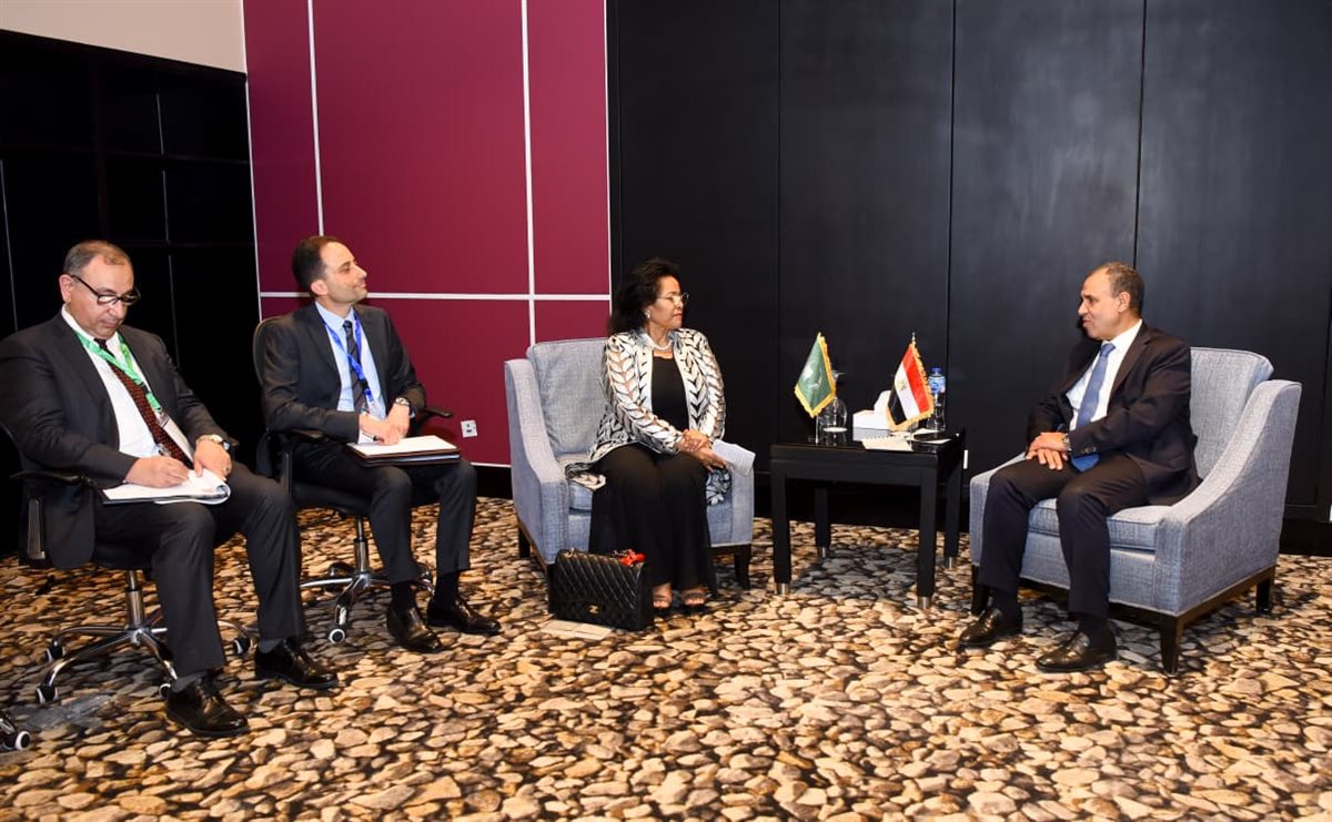 <strong>وزير الخارجية يلتقي المديرة التنفيذية لوكالة الاتحاد الأفريقي للتنمية (النيباد)</strong>