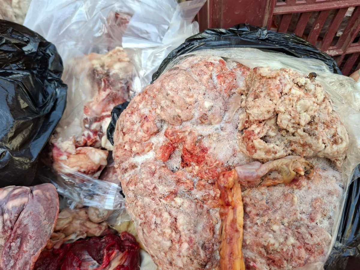 ضبط 150 كيلوم لحوم سوداني كبده سجق شرقي لحم مفروم منتهية الصلاحية بالفيوم <br>