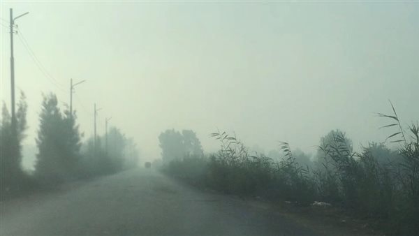 شبورة مائية صباحية