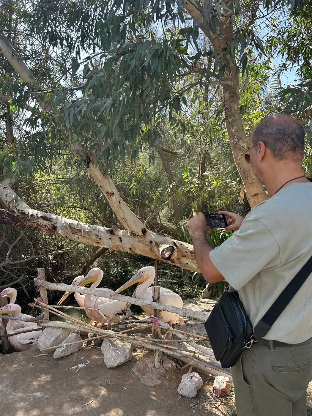 <strong>نادر عباسي في سفاري أفريقيا</strong>