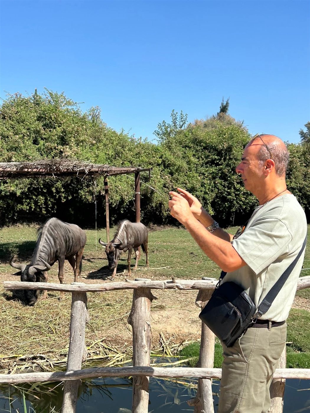 <strong>نادر عباسي في سفاري أفريقيا</strong>