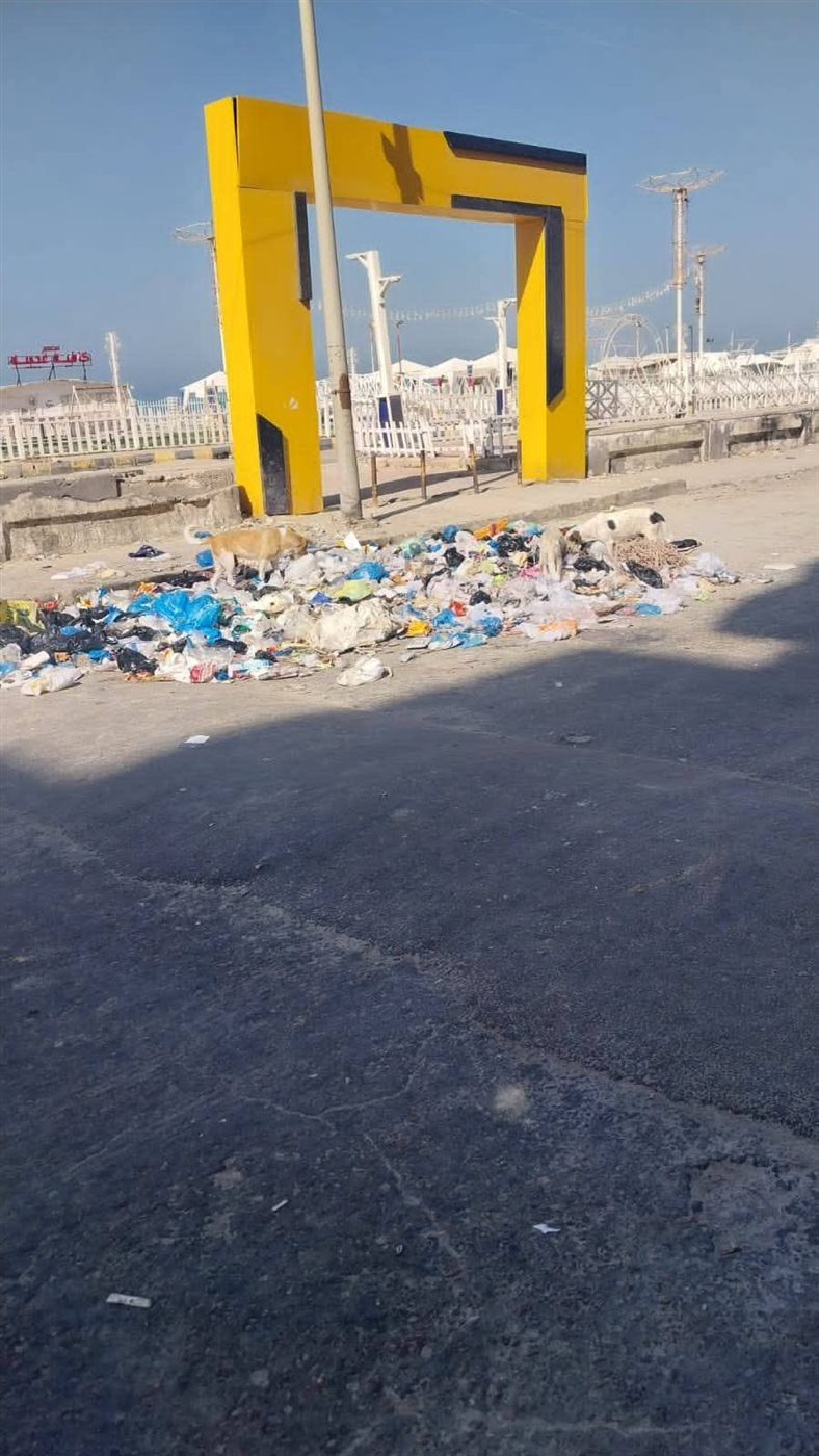 كورنيش النخيل