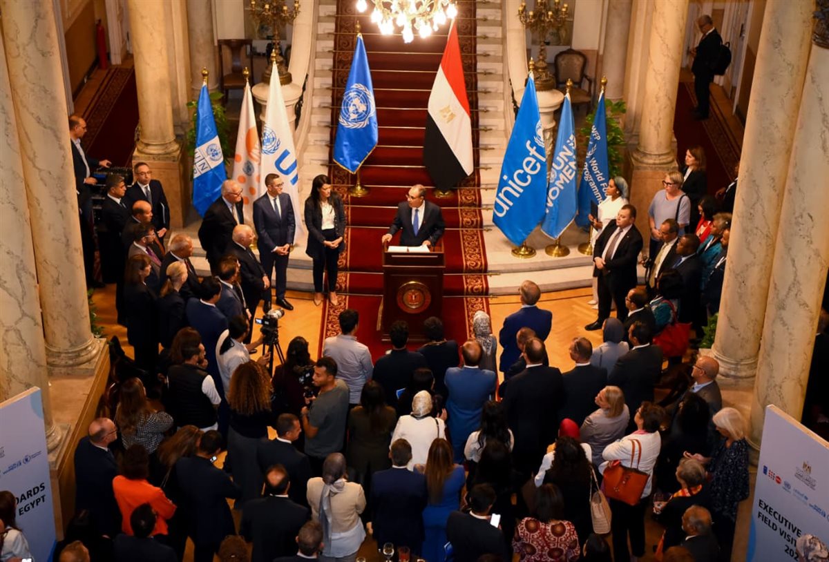 <strong>الدكتور بدر عبد العاطي، وزير الخارجية</strong>