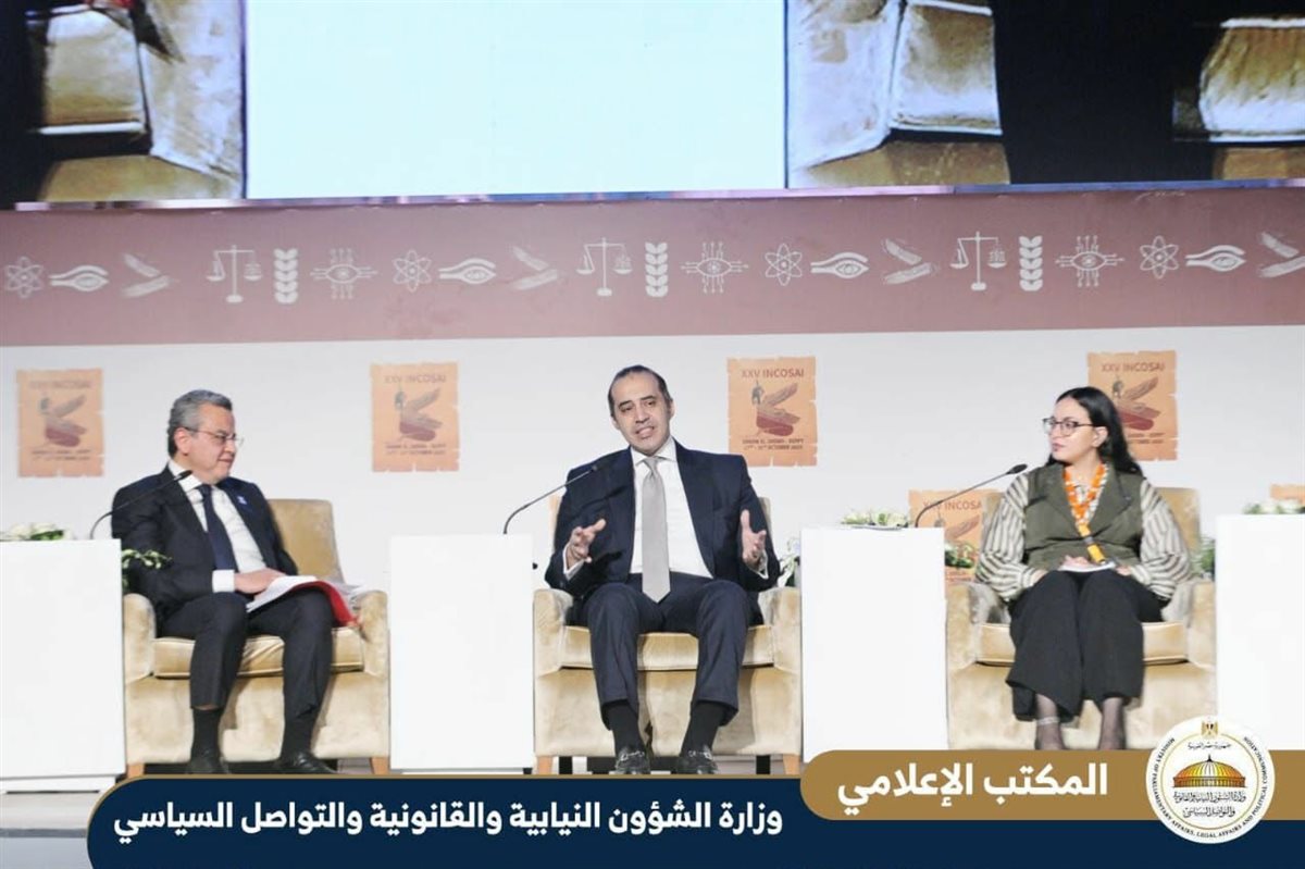 المستشار محمود فوزي في الجلسة