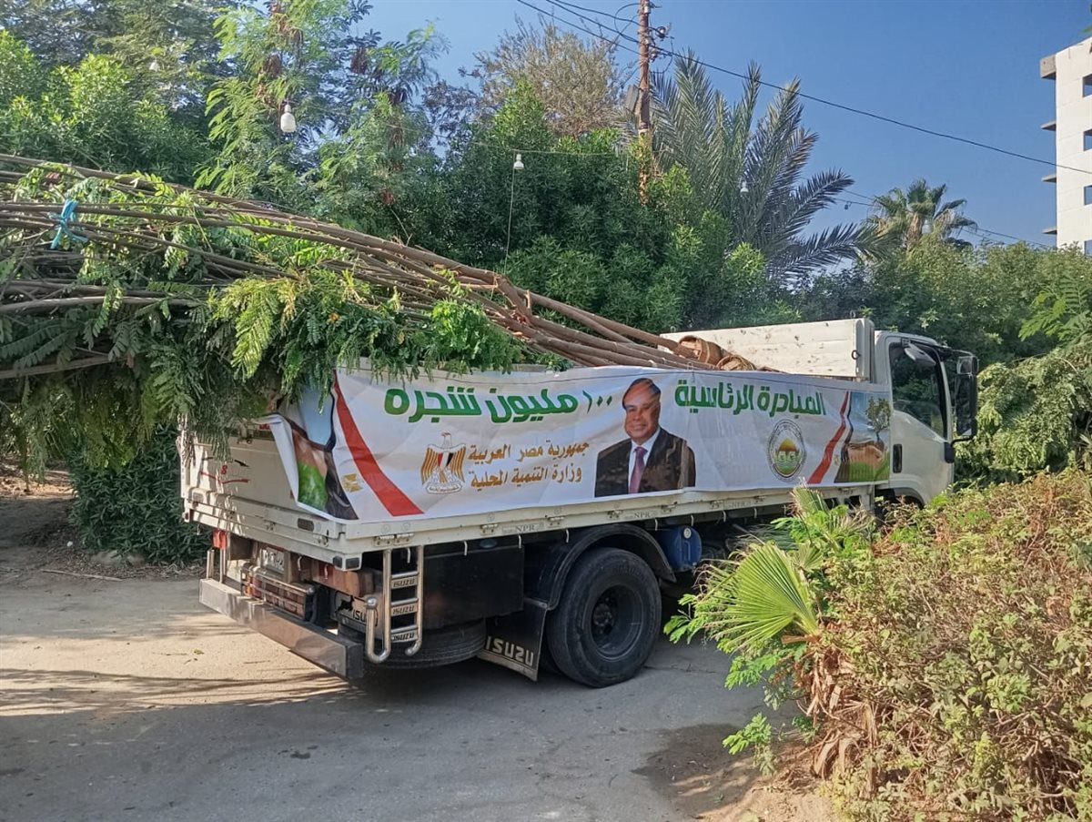 محافظ الفيوم يتابع أعمال استلام دفعة جديدة من الأشجار والشتلات لغرسها بالمراكز والقرى ضمن مبادرة