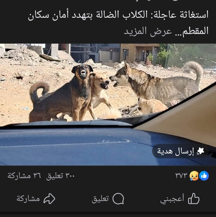 منشور