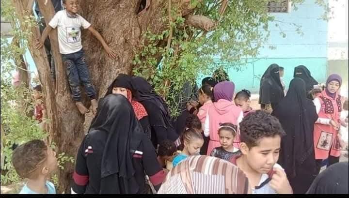 نبق الشيخ نصر الدين