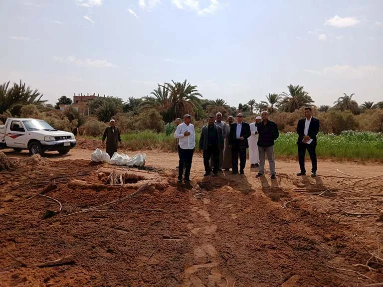  نقل رفات 8500 جثمان من إحدى المقابر في الوادي الجديد 