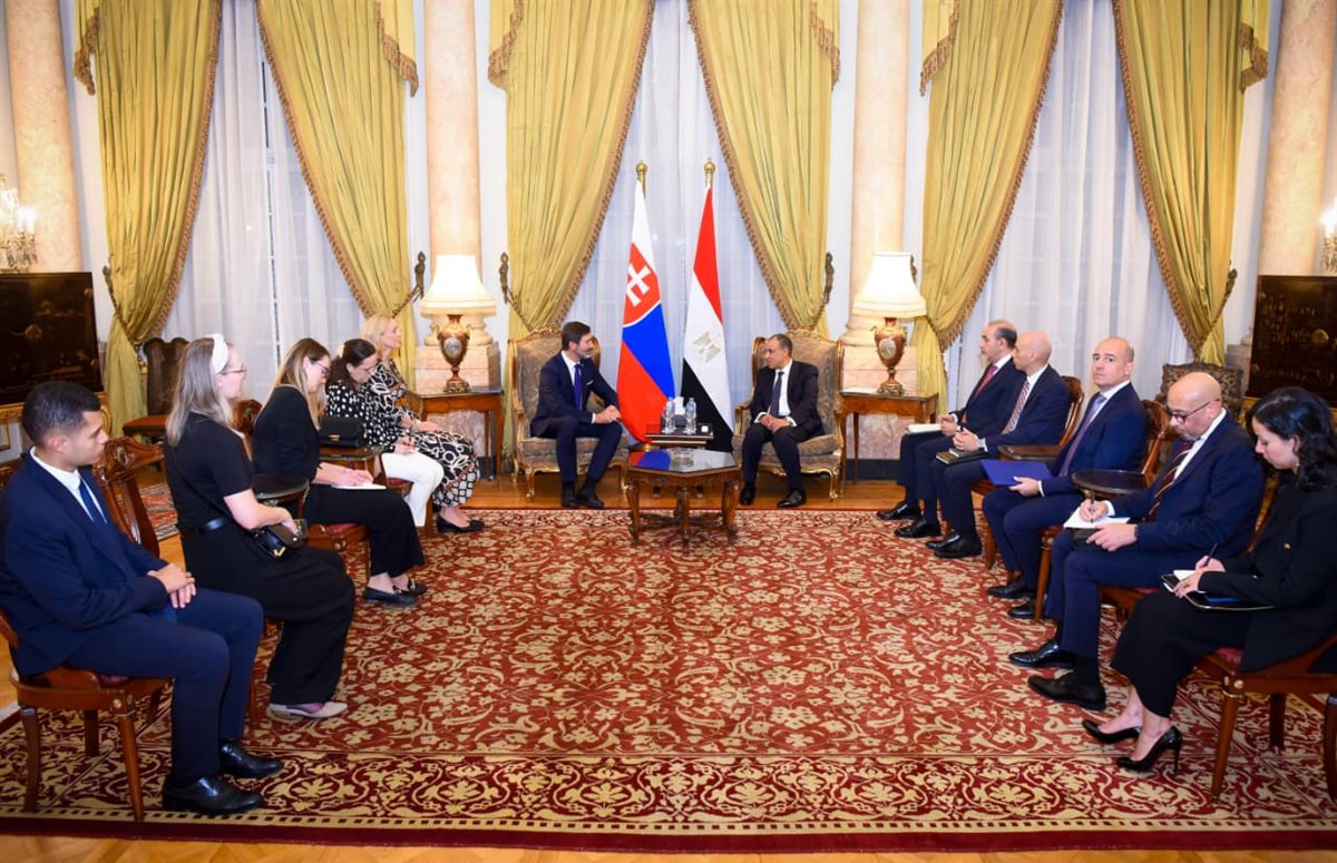 <strong>وزير الخارجية ونظيره السلوفاكي</strong>