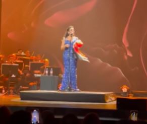 أنغام في حفلها بباريس