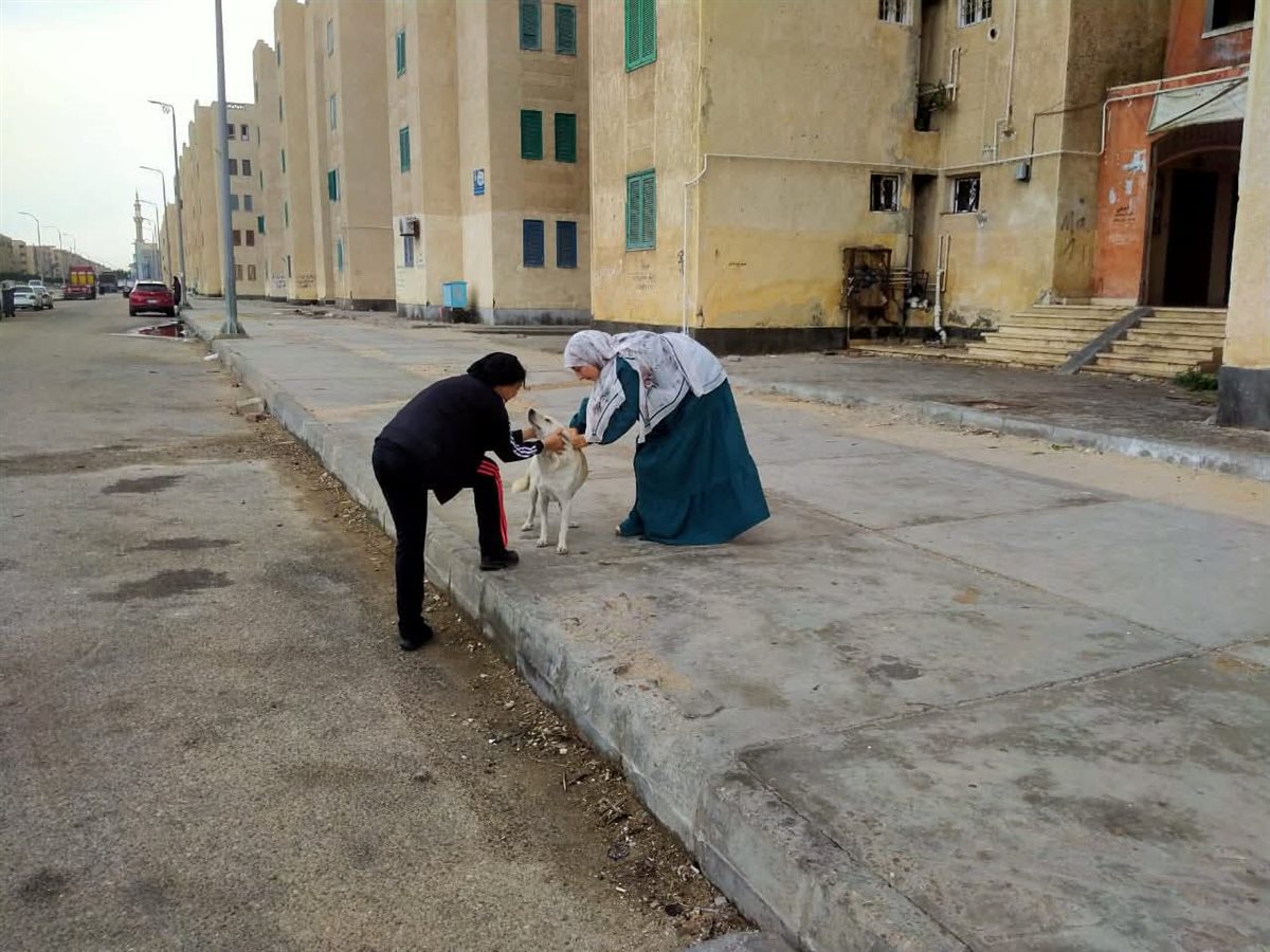 <strong>حملة ميدانية لتحصين الكلاب ضد مرض السعار</strong>