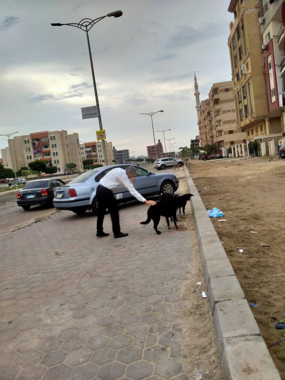 <strong>حملة ميدانية لتحصين الكلاب ضد مرض السعار</strong>