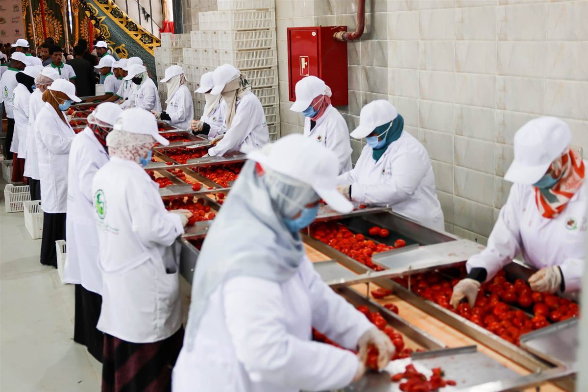 جانب من العمل